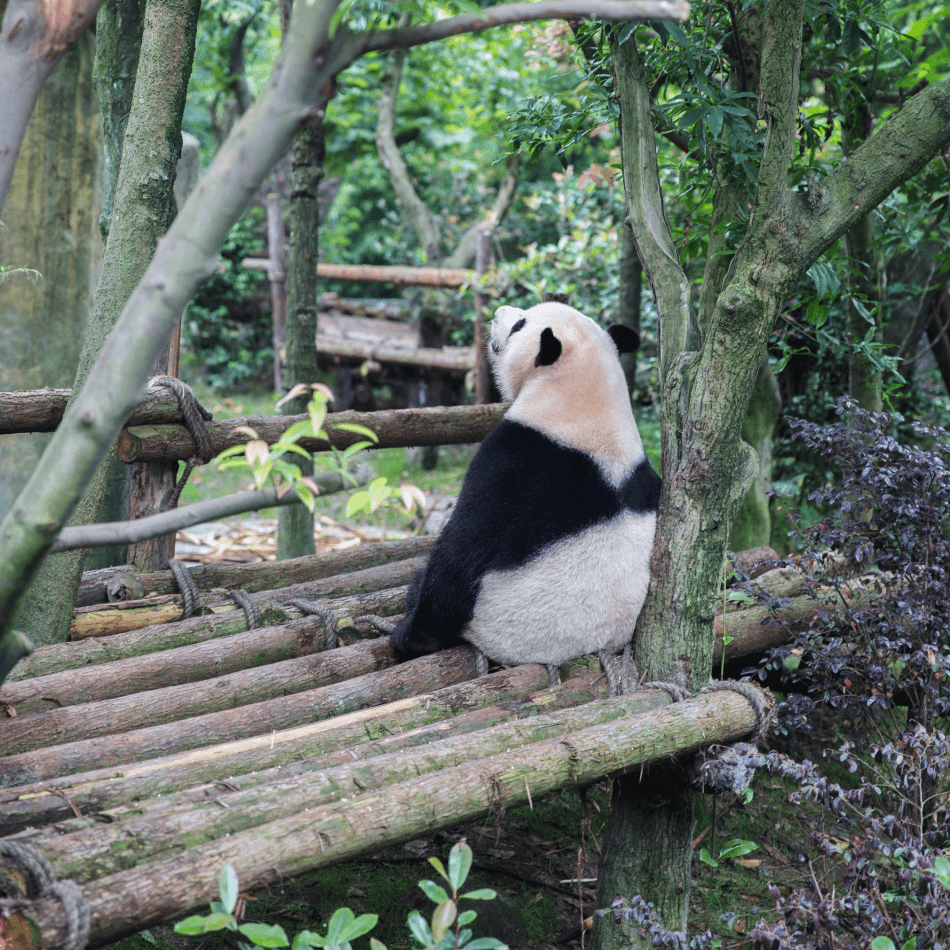 Suffering from Hot Desk Depression?