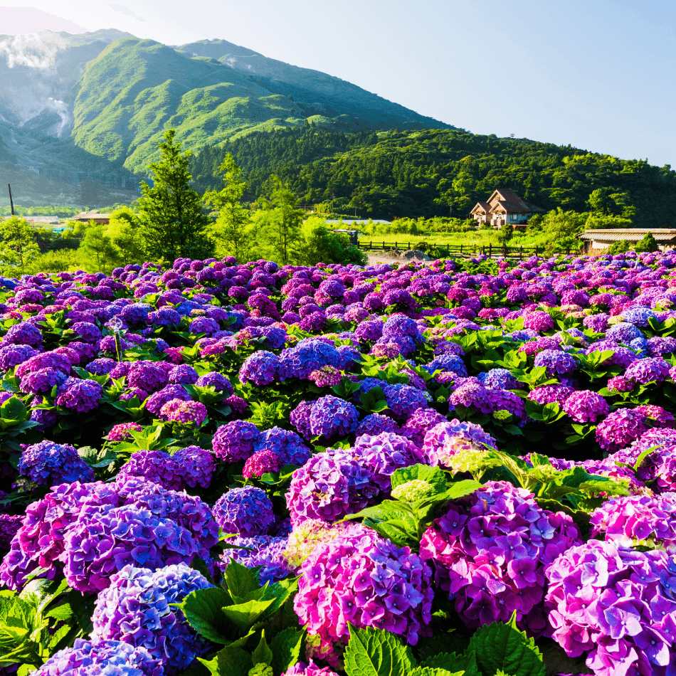 Afflicted with Post-Teams Stress Disorder (PTSD)?